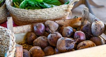 Vegetarian Farm-to-Table